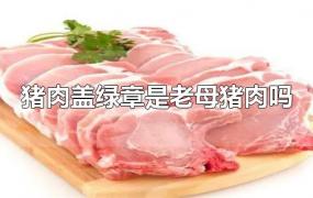猪肉盖绿章是老母猪肉吗