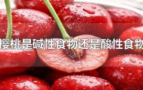 樱桃是碱性食物还是酸性食物