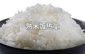 熟米饭热量