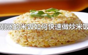 刚蒸的米饭如何快速做炒米饭