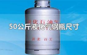 50公斤液化气钢瓶尺寸