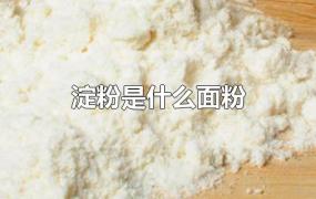 淀粉是什么面粉