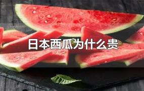 日本西瓜为什么贵