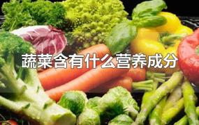 蔬菜含有什么营养成分