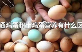 普通鸡蛋和土鸡蛋营养有什么区别