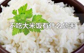 不吃大米饭有什么危害