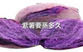 紫薯要蒸多久