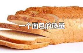 一个面包的热量