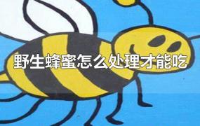 野生蜂蜜怎么处理才能吃