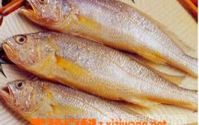黄花鱼的营养价值有哪些