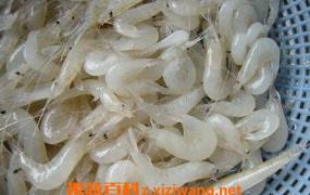 白米虾的营养价值 白米虾的功效与作用