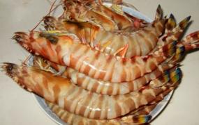 斑节虾的家常做法 斑节虾的营养价值