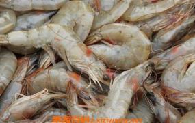 海虾的营养价值与功效