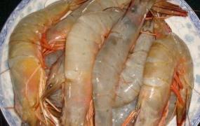 海虾的营养价值 吃海虾的好处有哪些