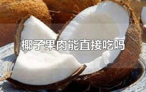椰子果肉能直接吃吗