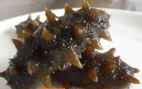 海参怎么吃 海参的食用方法
