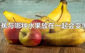 香蕉与哪种水果放在一起会变黑?