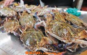 活螃蟹怎么保存 活螃蟹如何保鲜