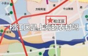 松江区是上海的农村吗