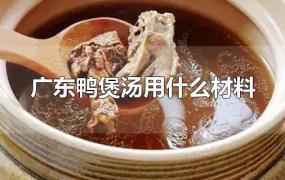 广东鸭煲汤用什么材料