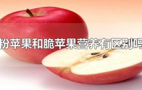 粉苹果和脆苹果营养有区别吗