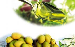 橄榄油的作用