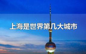 上海是世界第几大城市