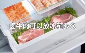 卤牛肉可以放冰箱多久