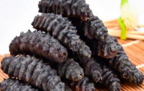 黑海参的功效与作用 黑海参的食用方法