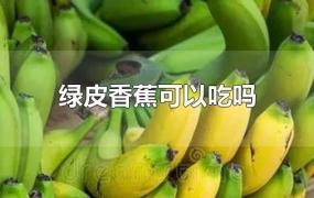 绿皮香蕉可以吃吗