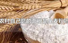 农村自己磨的面粉是全麦粉吗