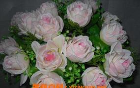 珍珠玫瑰花如何养 珍珠玫瑰花的养殖方法