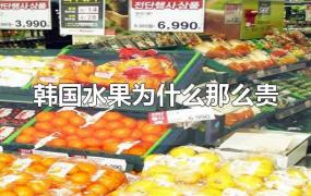 韩国水果为什么那么贵