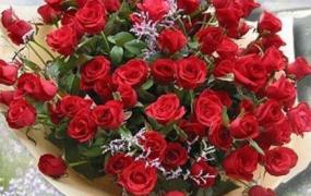 乌丹玫瑰花与普通玫瑰的区别