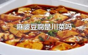 麻婆豆腐是川菜吗