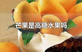 芒果是高糖水果吗