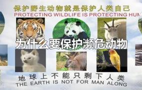 为什么要保护濒危动物