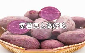紫薯怎么做好吃