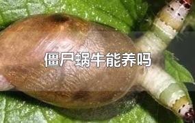 僵尸蜗牛能养吗