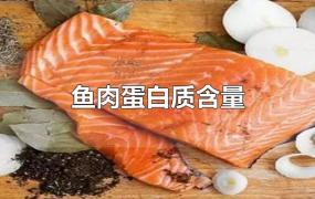 鱼肉蛋白质含量