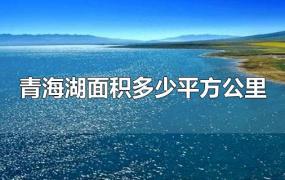青海湖面积多少平方公里