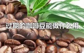 过期的咖啡豆能做什么用