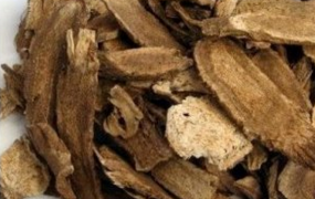 中药木香的食用方法与食用禁忌