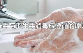 洗手与卫生手消毒应遵循的原则