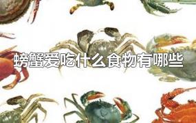 螃蟹爱吃什么食物有哪些