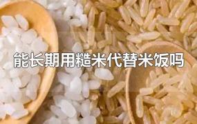 能长期用糙米代替米饭吗