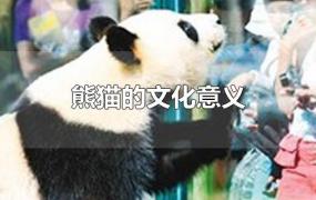 熊猫的文化意义