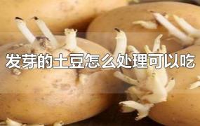 发芽的土豆怎么处理可以吃