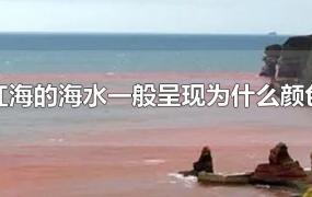 红海的海水一般呈现为什么颜色