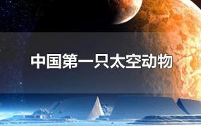 中国第一只太空动物